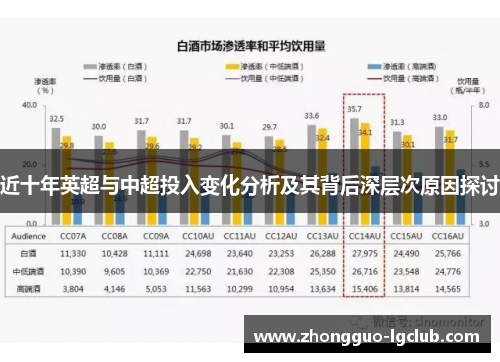 近十年英超与中超投入变化分析及其背后深层次原因探讨